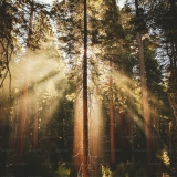 FreeSpiritAngel7